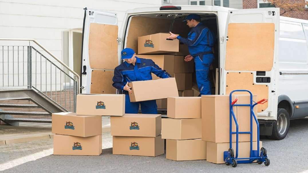 Ecoway Movers : Moving Company in Burlington, ON