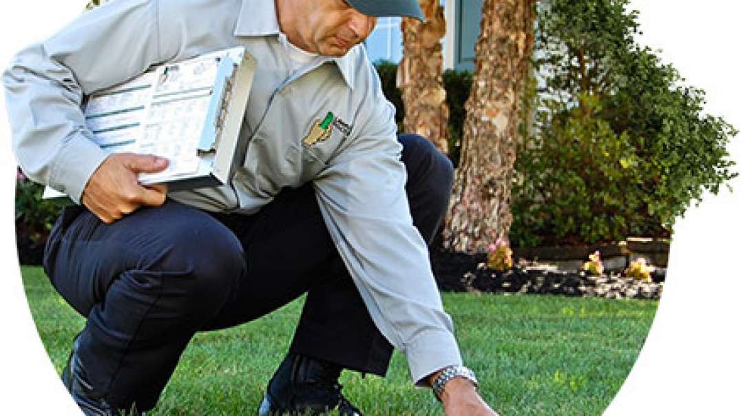 DR. M Enterprises Inc dba : Lawn Care And Maintenance in South-OKC