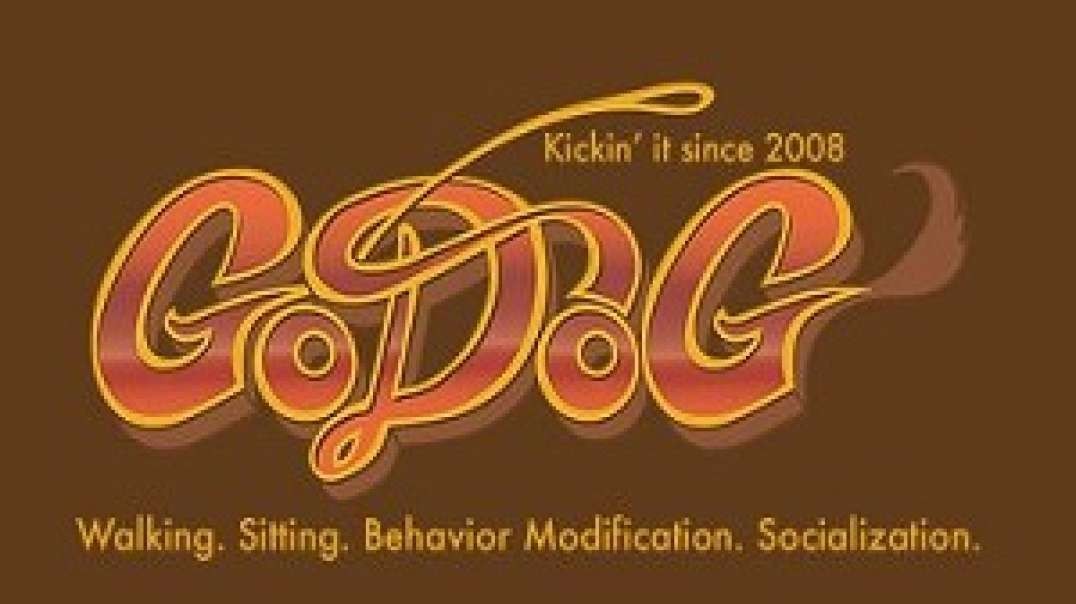 GoDog - Dog Walking Services in Brooklyn, NY