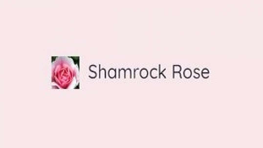 Shamrock Rose Treasures - Arts And Crafts Supplies in Nepean, Ontario