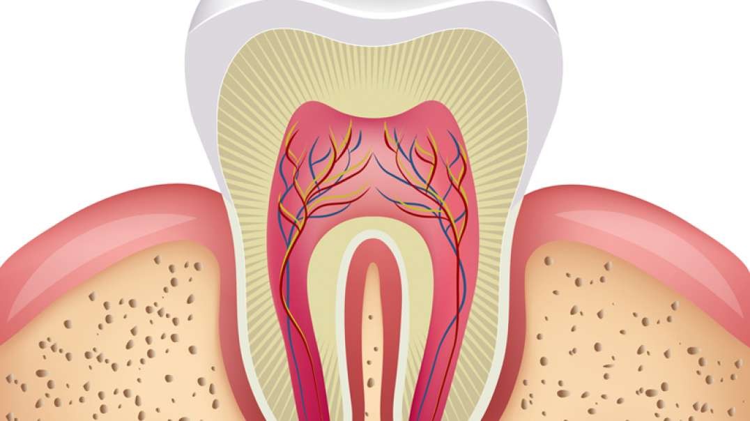 Advanced Dental Solutions : Root Canal in Sunset, FL